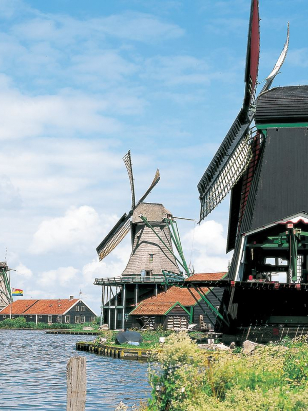 Homestay and School Immersion in the Netherlands (for English native speakers only)