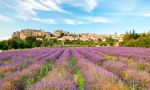 High School exchange in Boarding schools in the South West of France - landscape