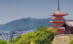 Japanese courses for Juniors in Kyoto - Kyoto