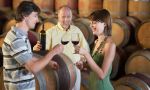 Learn about wines in France